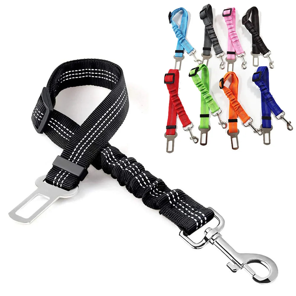 Bungee Style Dog Seat Belt