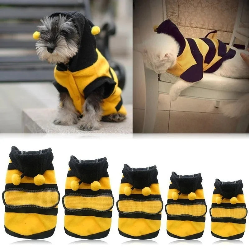 Bee Inspired Pet Costume for Halloween