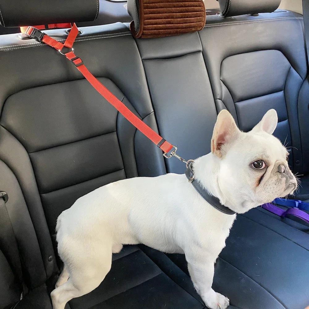 Nylon Rope Dog Car Seat Belt