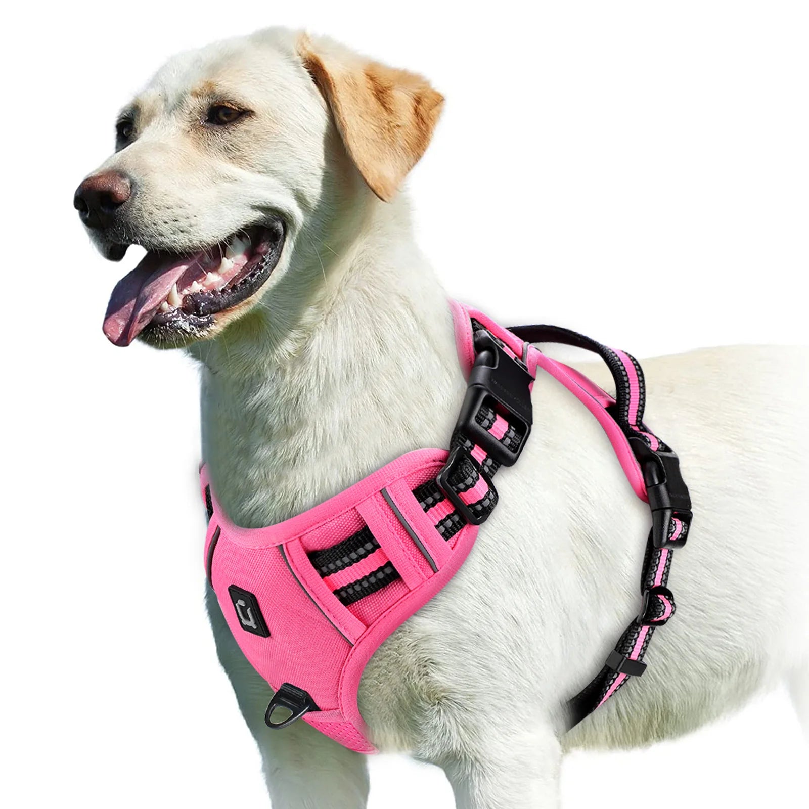 No Pull Soft Padded Dog Harness