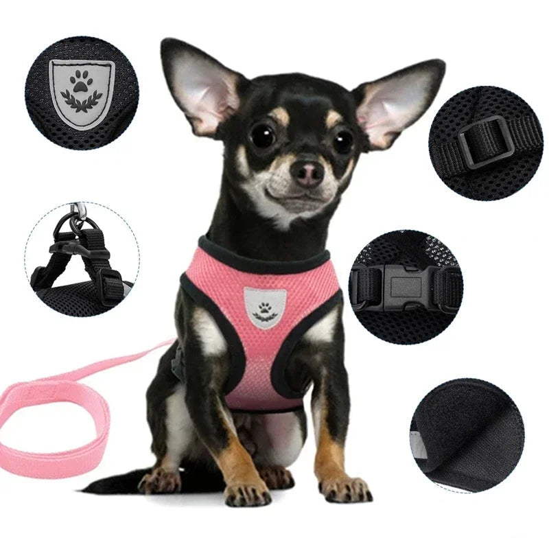 Adjustable Collar With Leash For Pets
