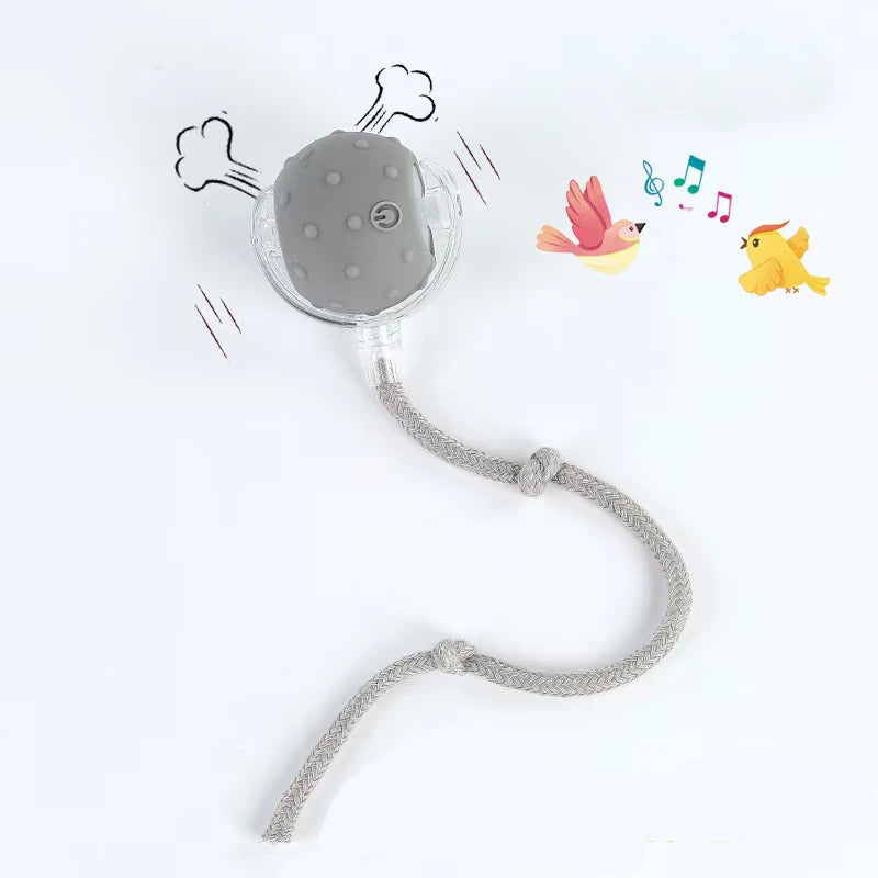 New Automatic Rolling Ball Toy for Cats