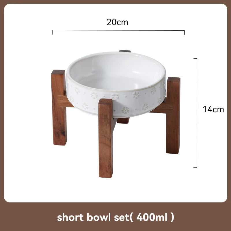 Elevated Dog Feeding Bowl Set
