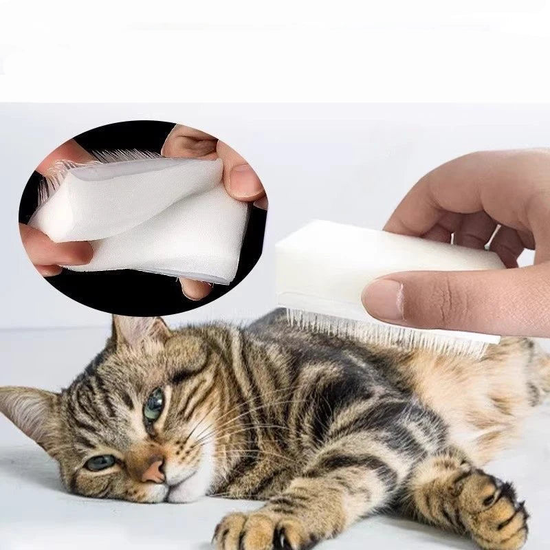 Multifunctional Sponge Cleaning Pet Brush Comb