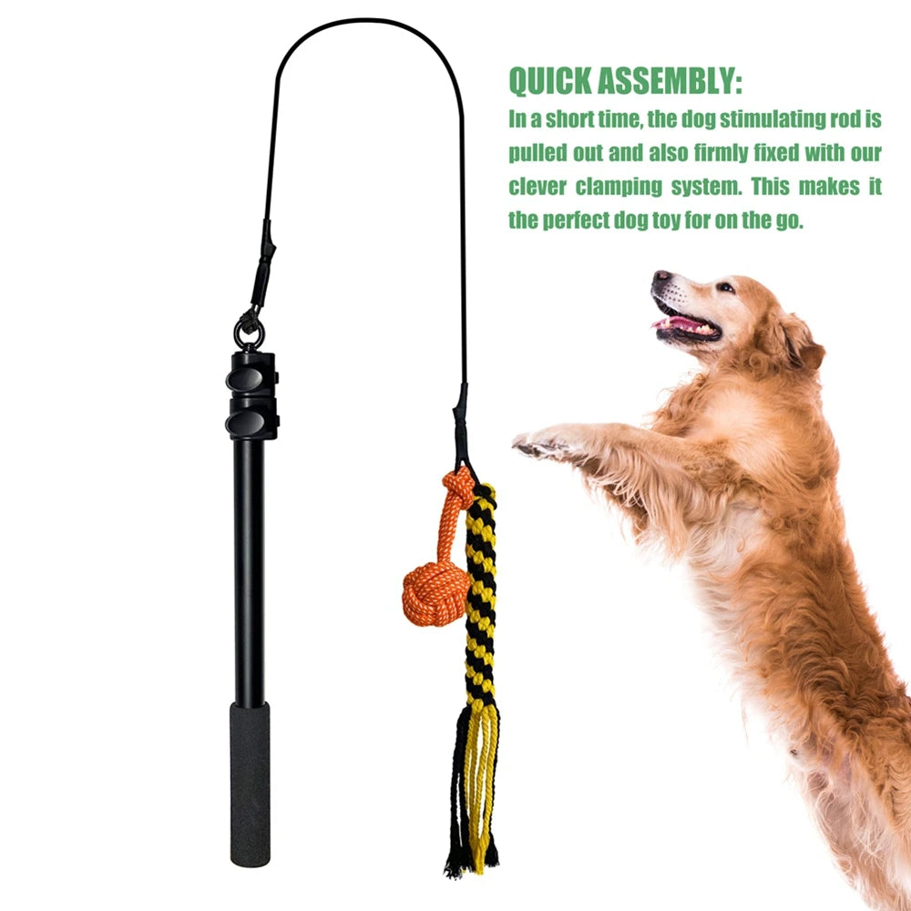 Retractable Pole Dog Chew Toy