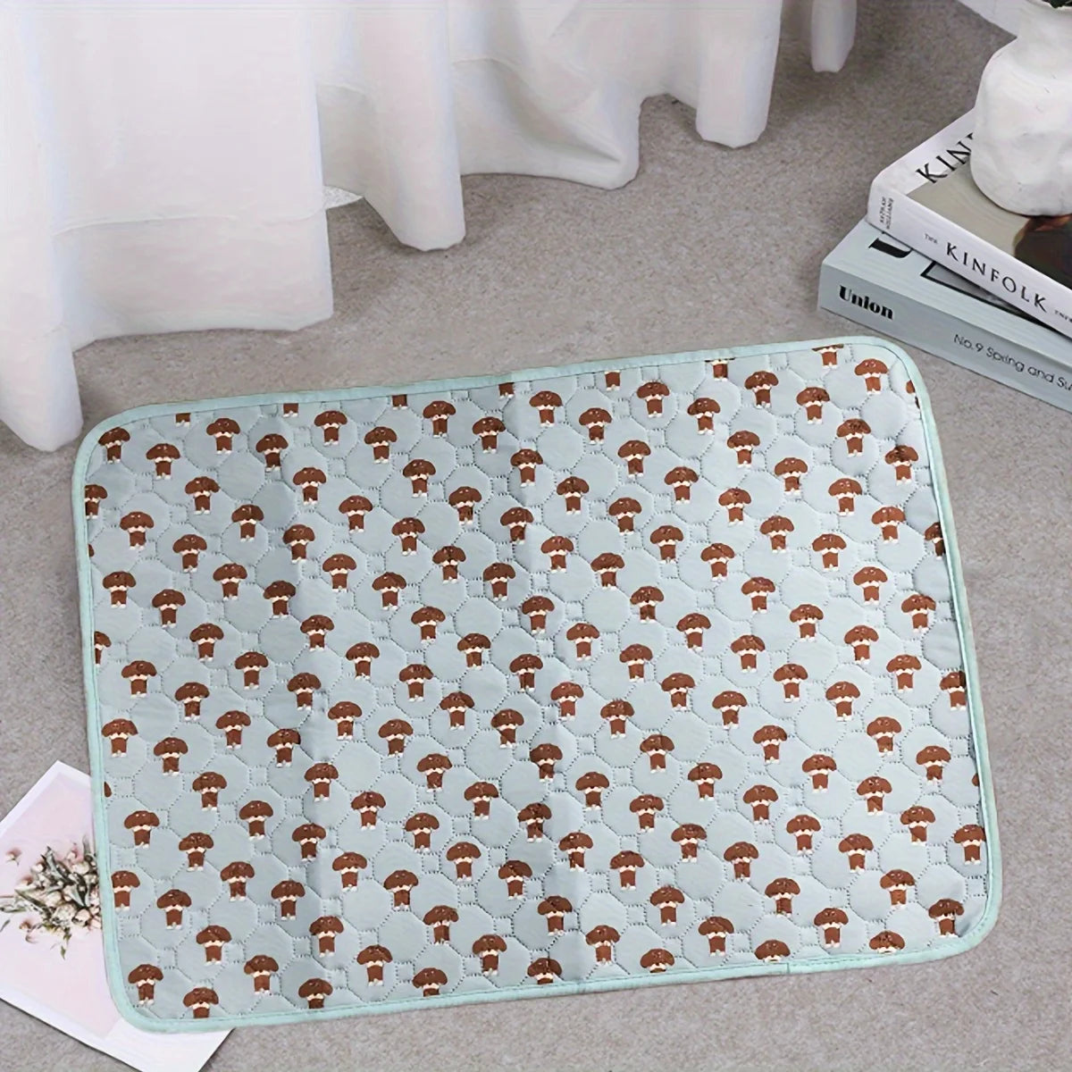 Absorbent Puppy Training Mat