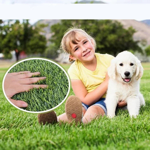 Artificial Turf for Pets