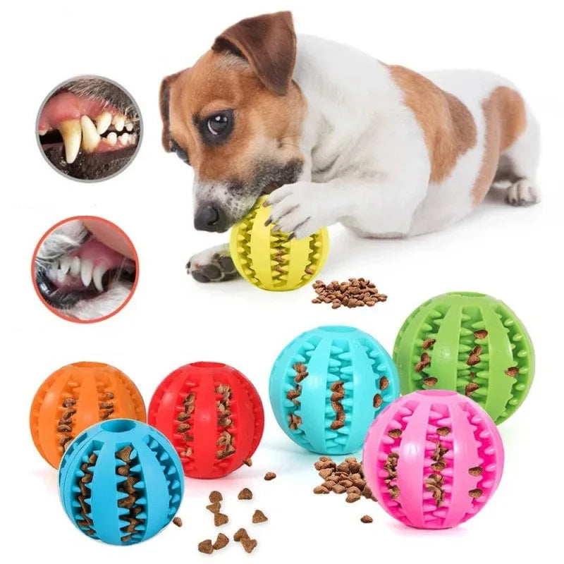 Pet Interactive Treat Ball