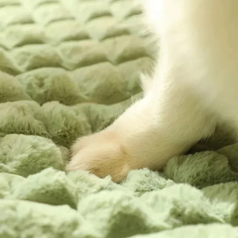 Orthopaedic Memory Foam Dog Mattress