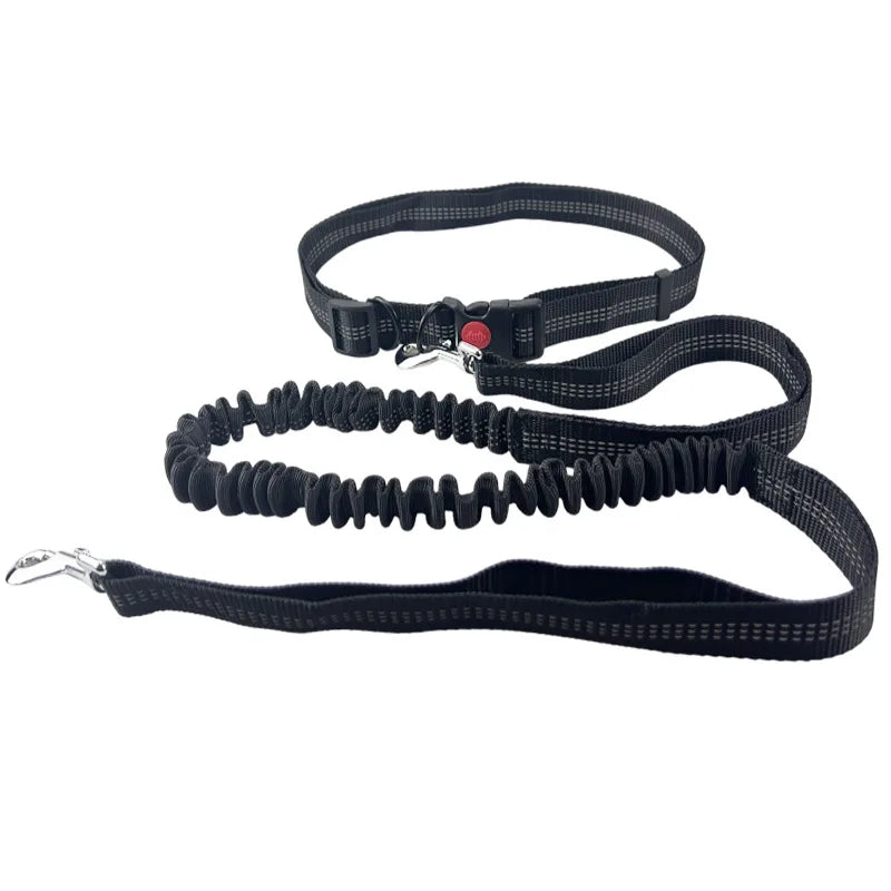Hands-free reflective dog leash with waist belt in Black