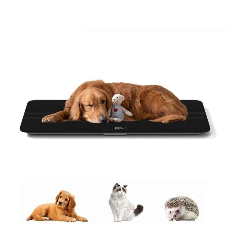 Large Precision Electronic Pet Scale