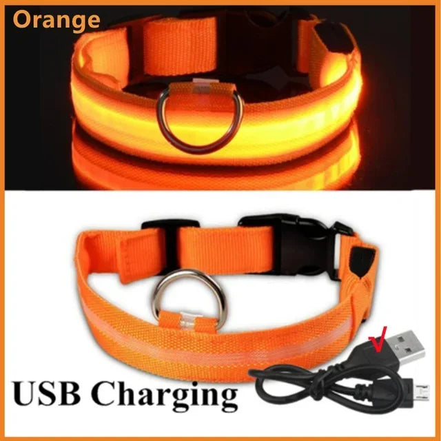 USB Rechargeable Light-Up Dog Collar