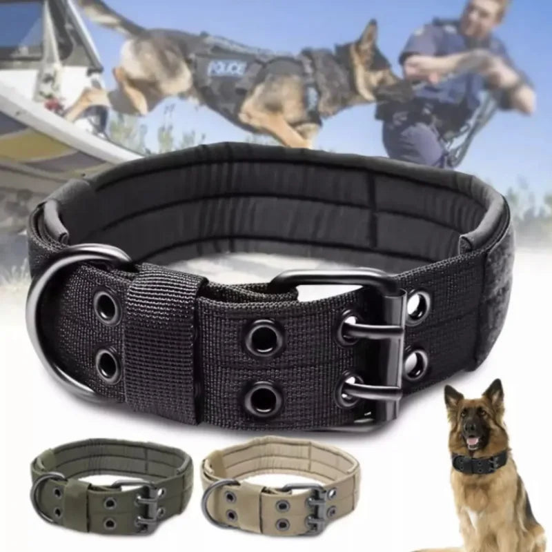 Classic Dog Collar for Tactical Training