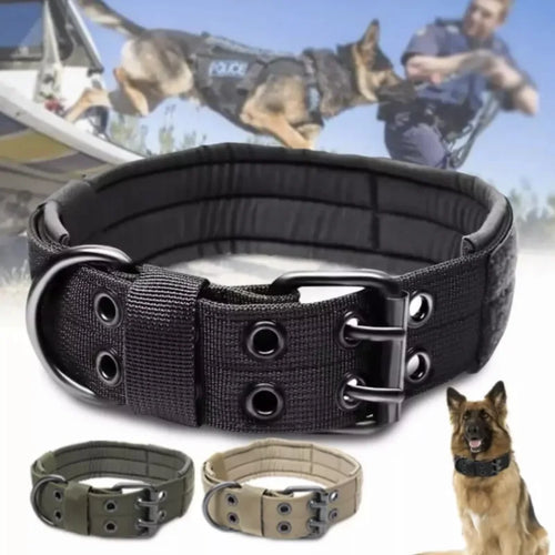 Classic Dog Collar for Tactical Training