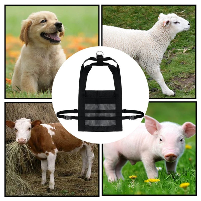 Animal Weighing Bag