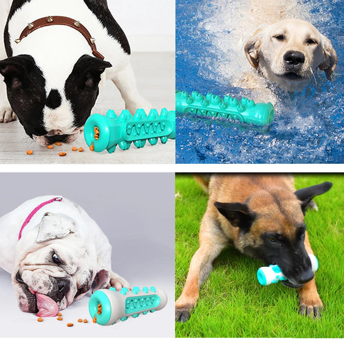 The Pets Dental Toothbrush Chew Toy from a second angle