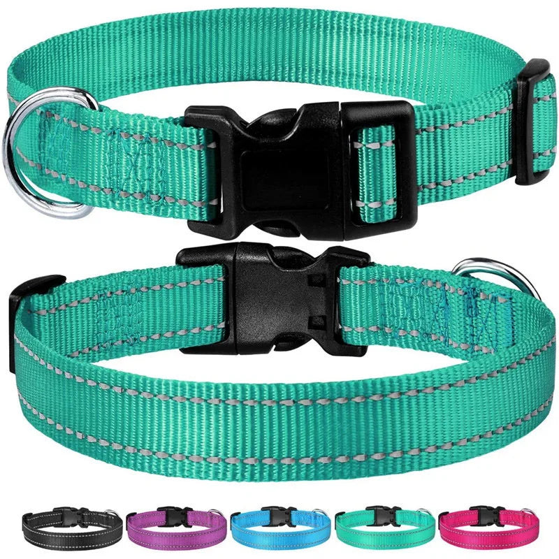 Dog Collar Strap With Adjustable Safety Nylon