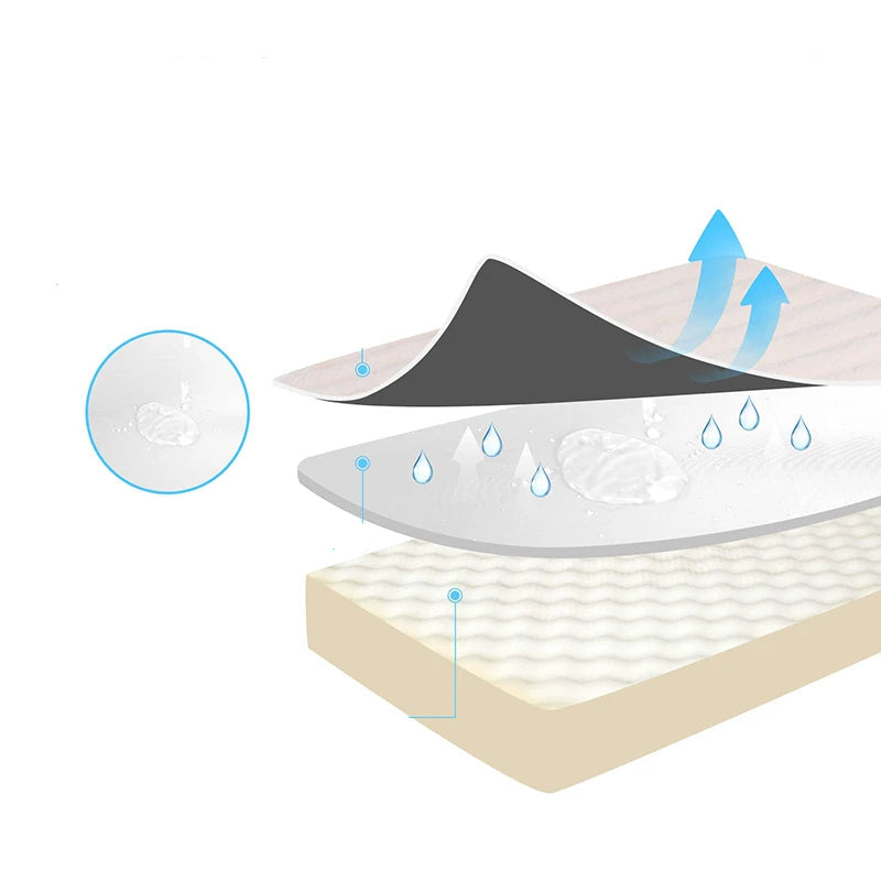 Washable Soft Orthopedic Dog Bed