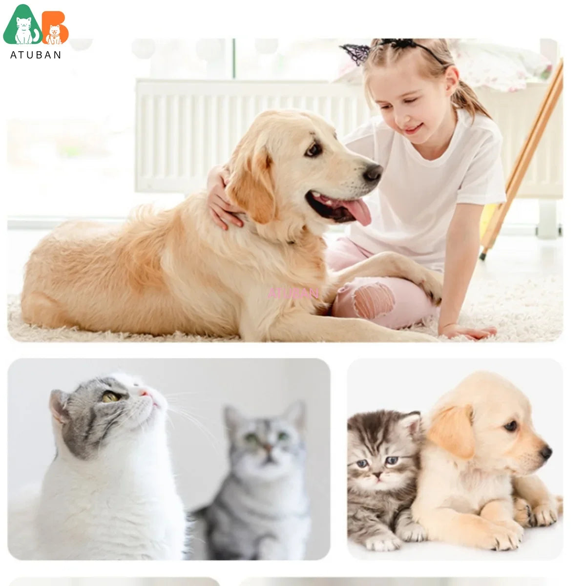 Dogs Probiotic Shampoo and Conditioner