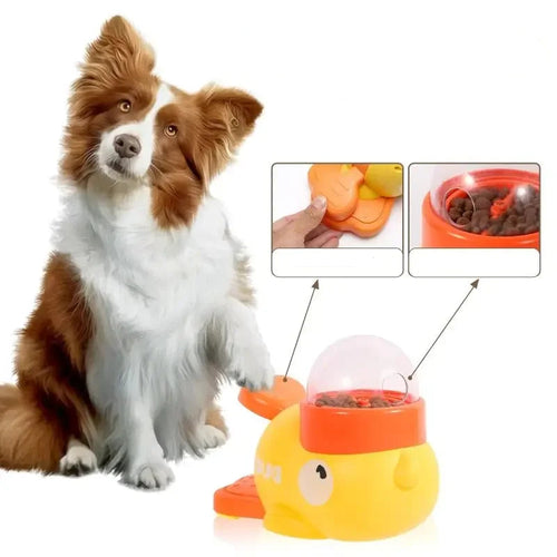 Pets 2-in-1 Automatic Food Treat Dispenser for Australian pets