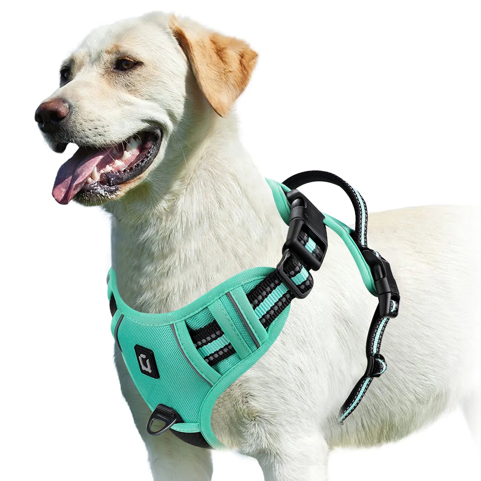 No Pull Soft Padded Dog Harness