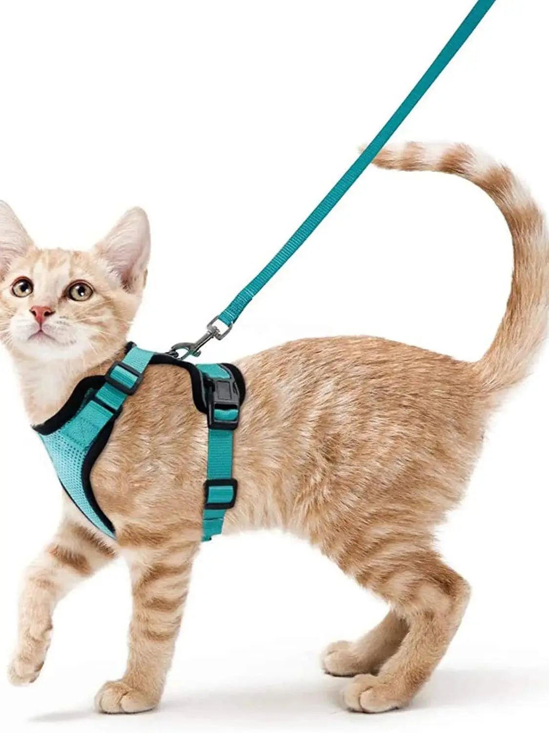 Adjustable Cat Harness and Leash Set