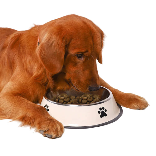 Large Stainless Steel Pet Food Bowl (Copy)