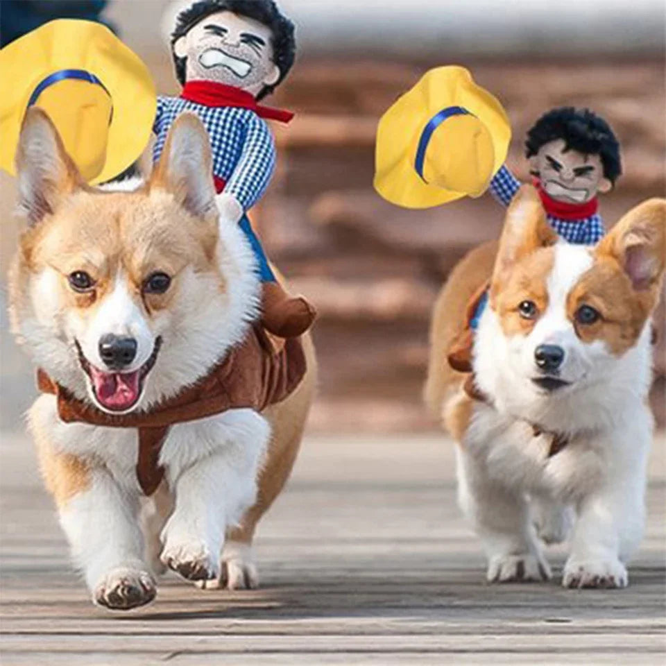 Funny Cowboy Inspired Dog Costume