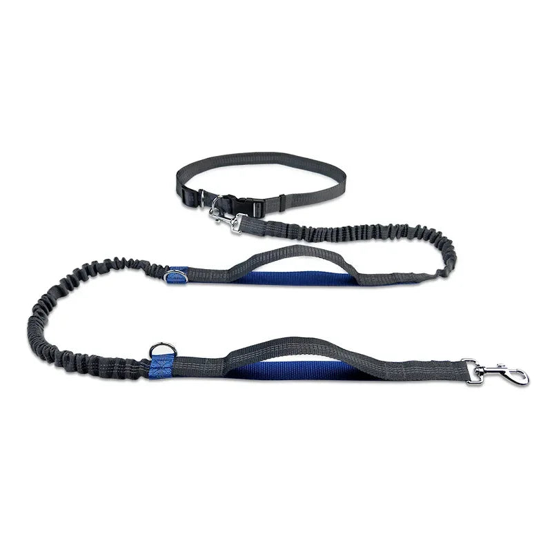 Retractable Bungee Canicross Dog Leash