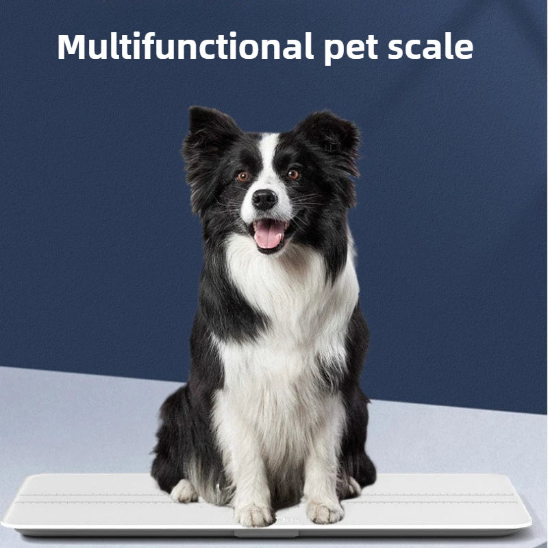 Large Precision Electronic Pet Scale