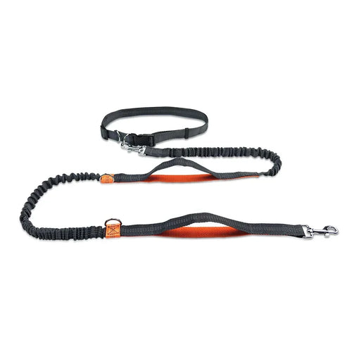 Retractable Bungee Canicross Dog Leash for dogs