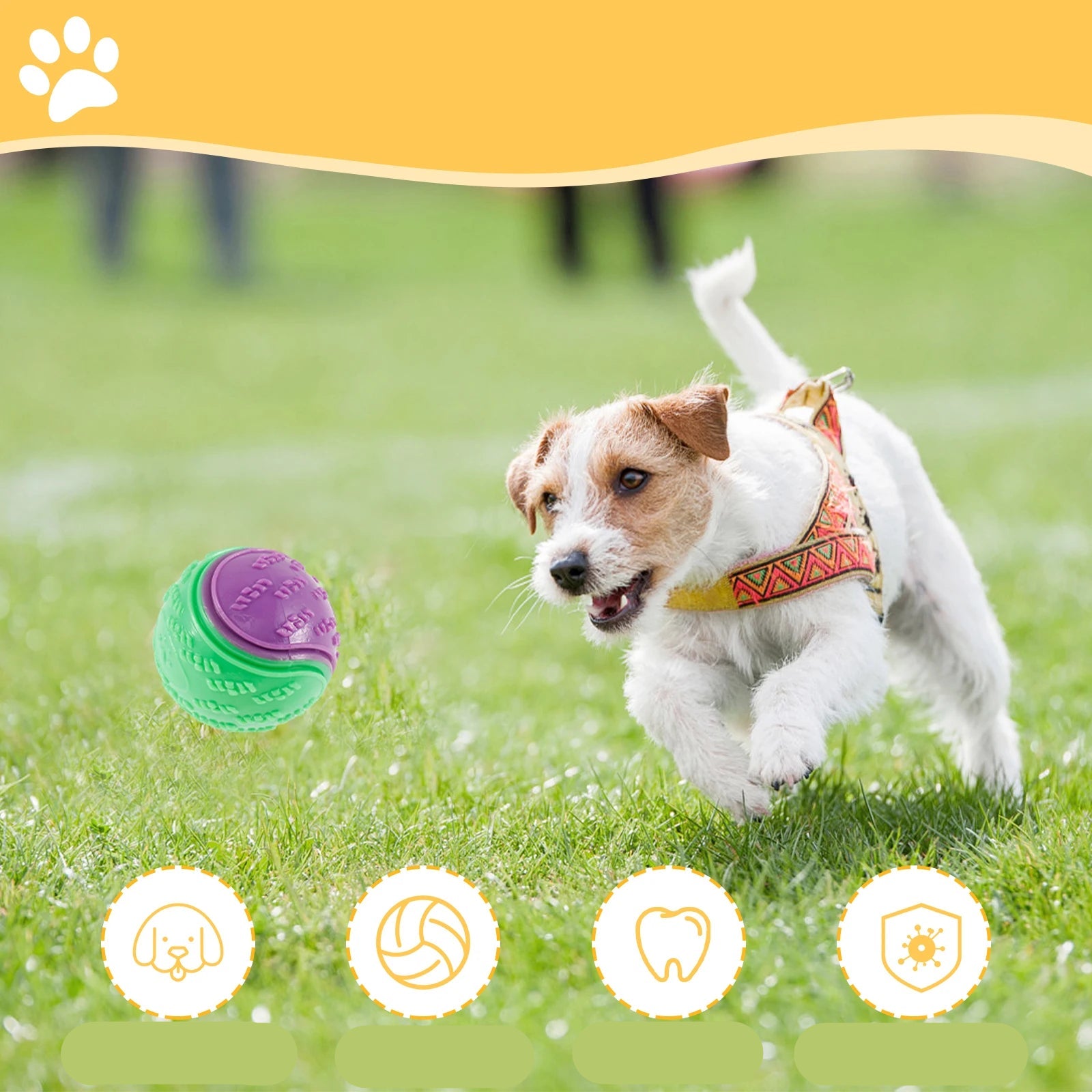 Interactive Bite Resistance Pet Ball Toys