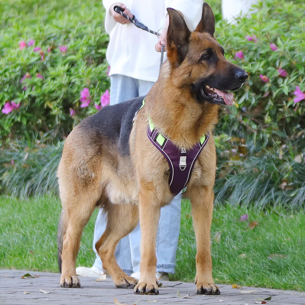 Reflective Adjustable Dog Harness