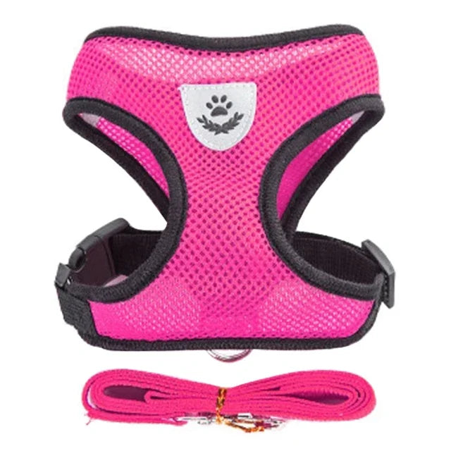 Adjustable Collar With Leash For Pets