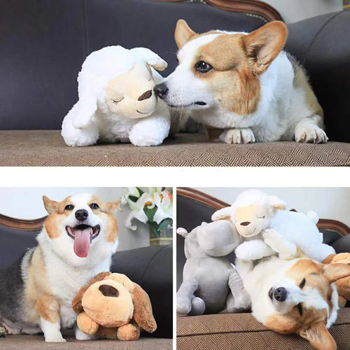 Heart Beat Comforter Plush Dog, part of the RPBA Shop range for dogs