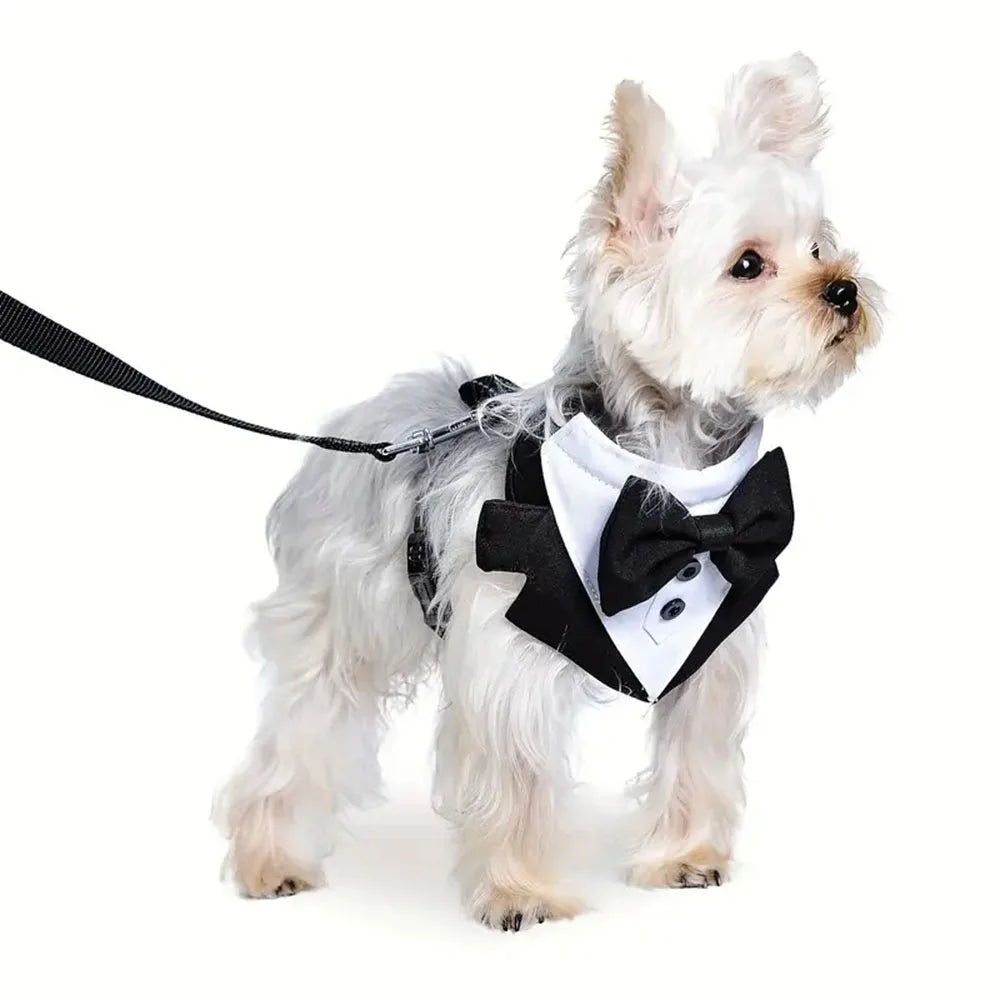 Dog Tuxedo Formal Vest Suit