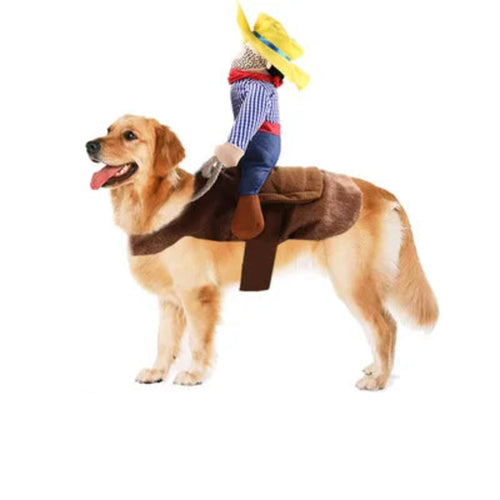 Dog wearing cowboy riding costume