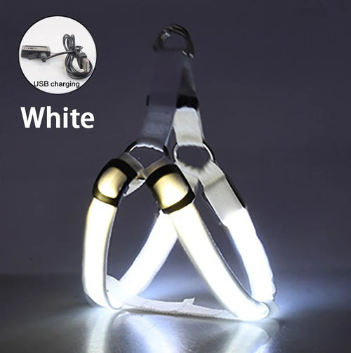 Night Light Up Luminous Dog Harness