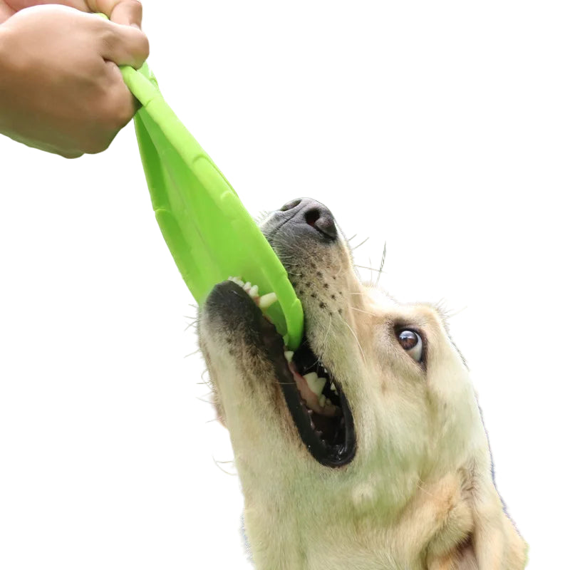 Bite Resistant Flying Disc Toys for Dog