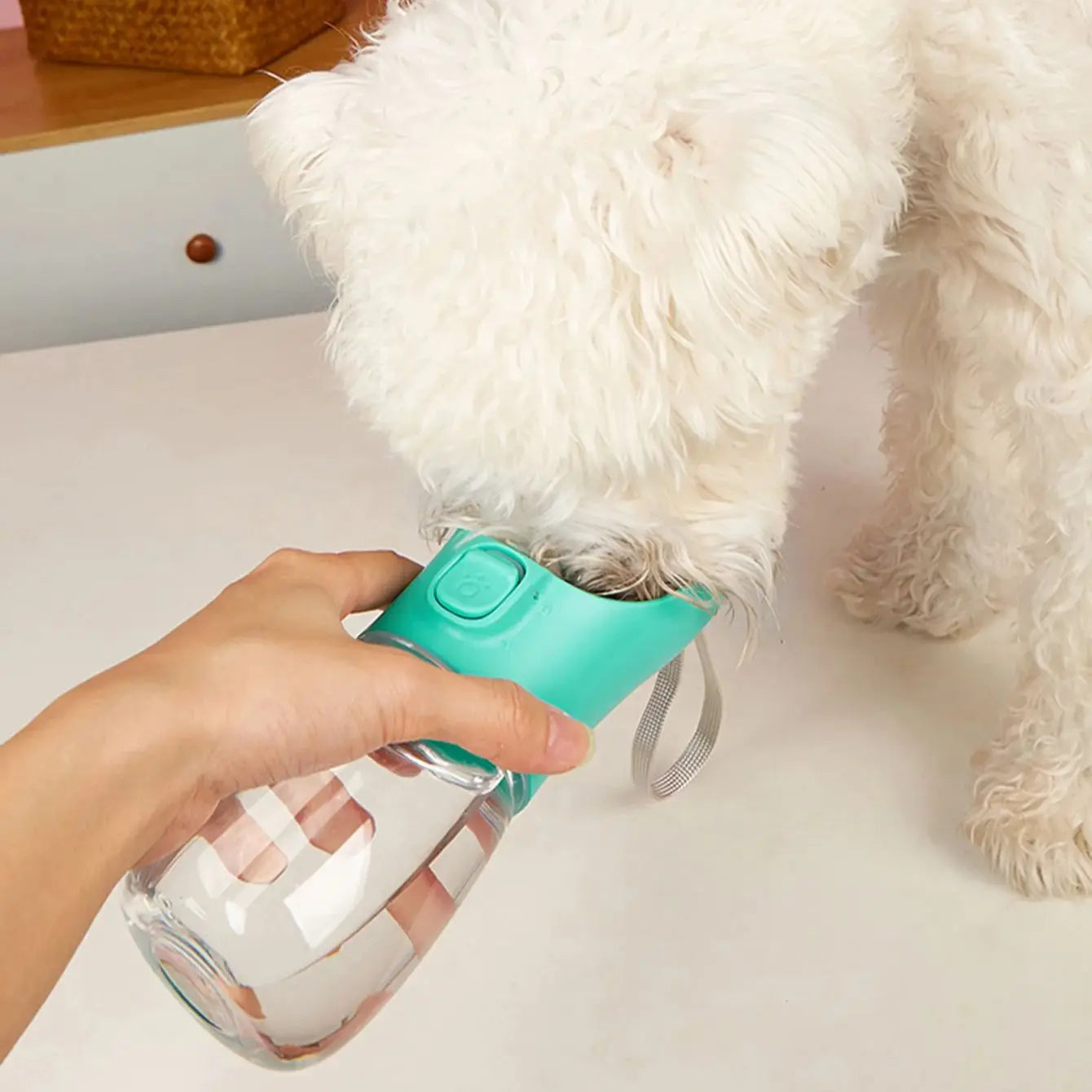 Portable Dog Water Bottle with Drinking Bowl