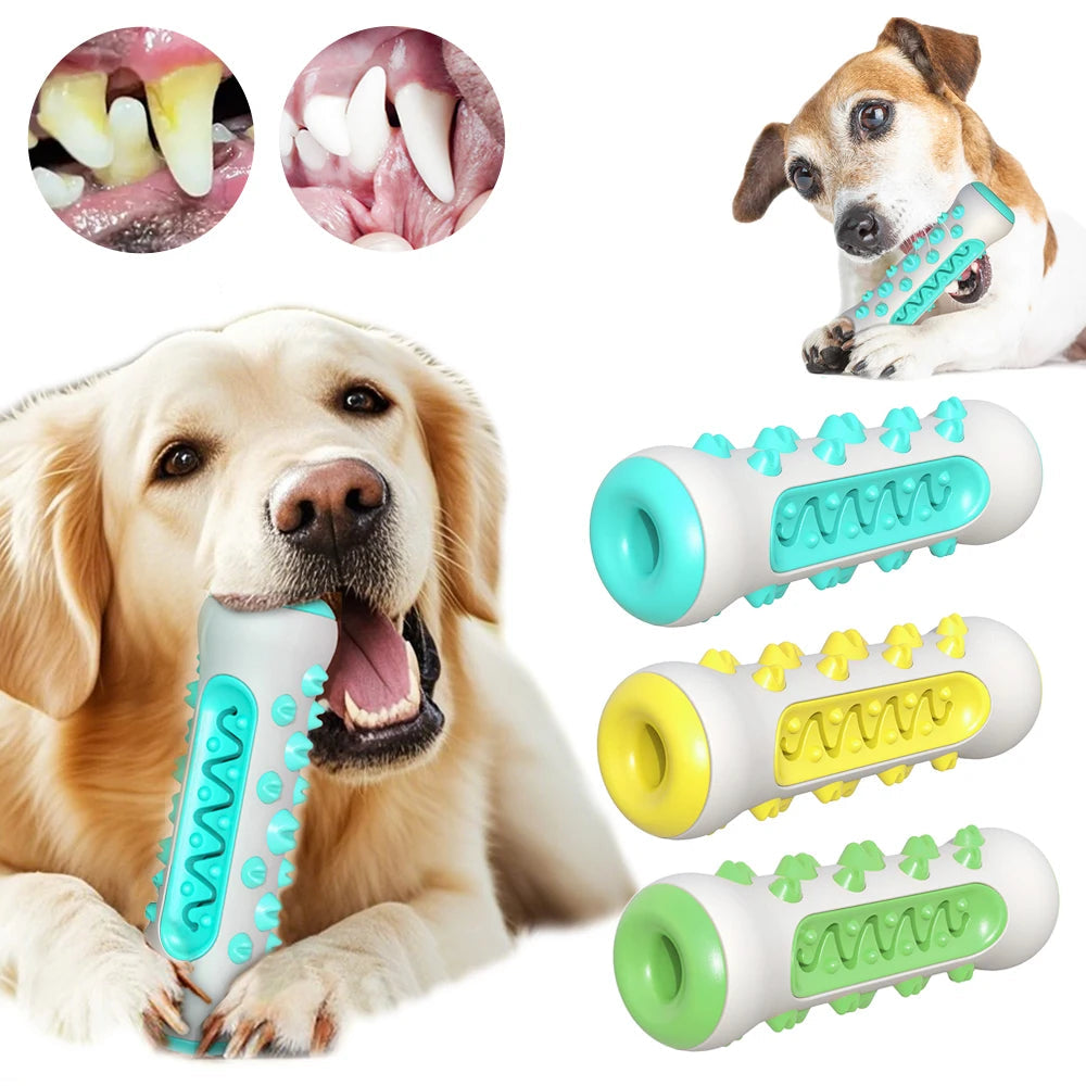Pets Dental Toothbrush Chew Toy