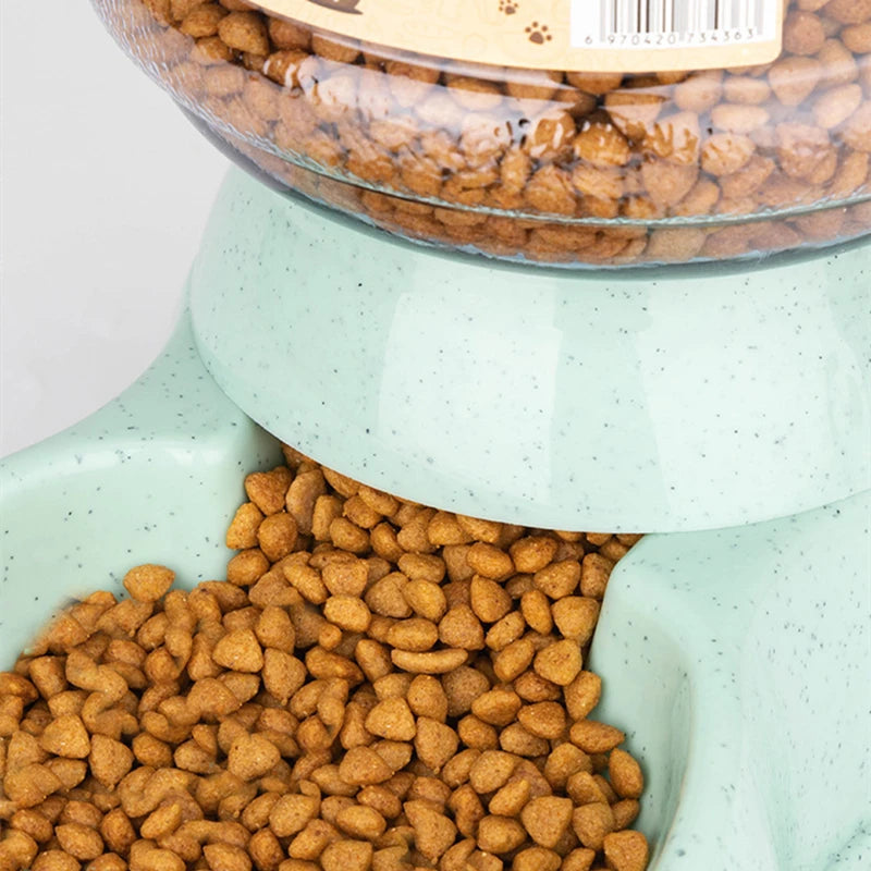 Pet Food and Water Bowl