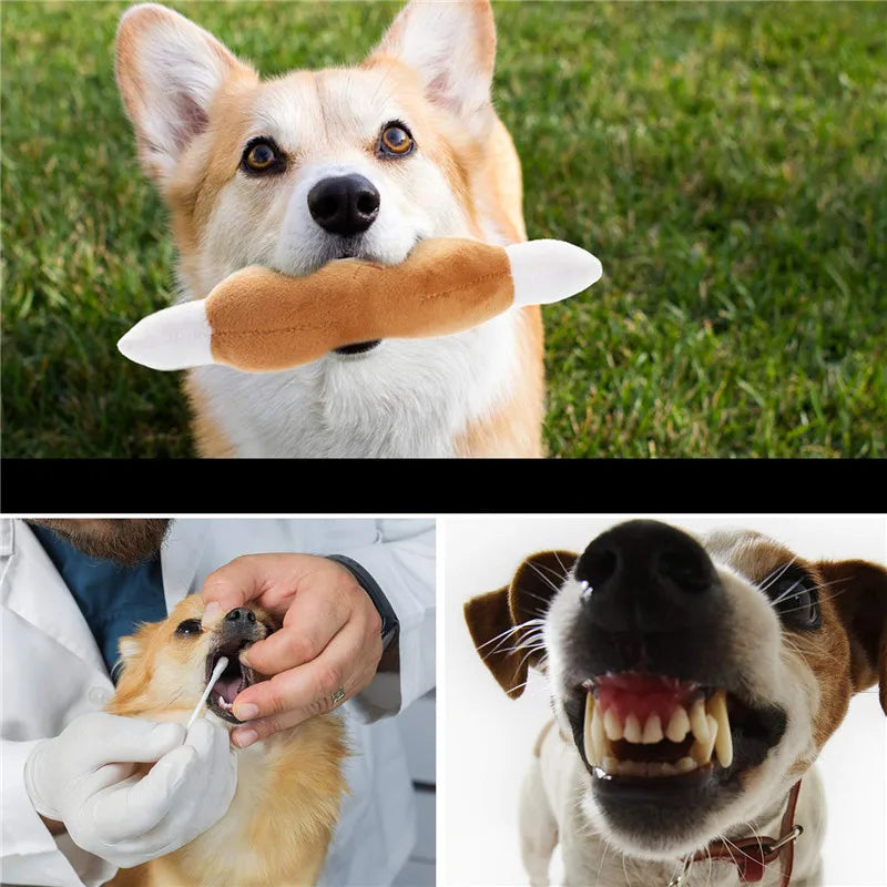 Non-Toxic Dog Squeaky Plush Toys