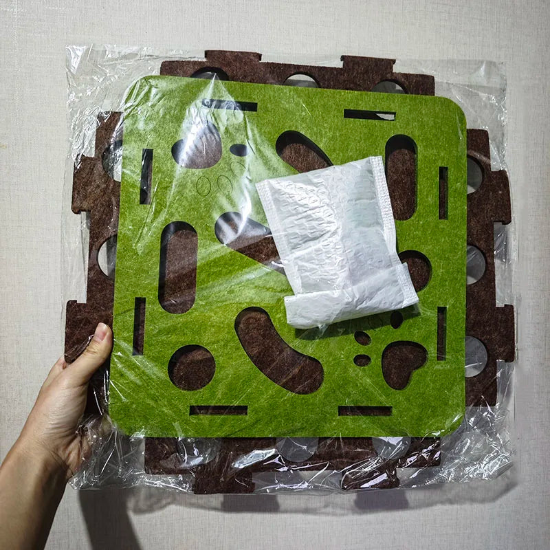 Kitten Interactive Play Set