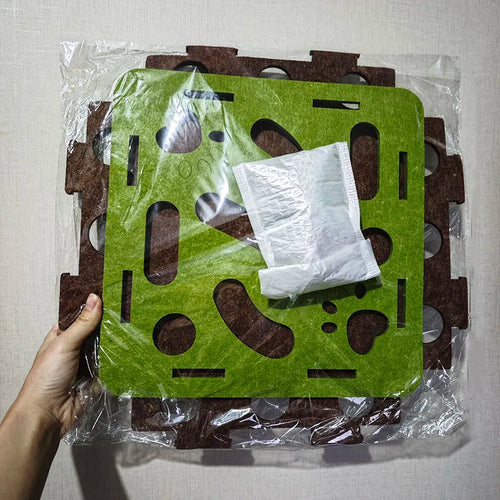 Kitten Interactive Play Set for Australian kittens