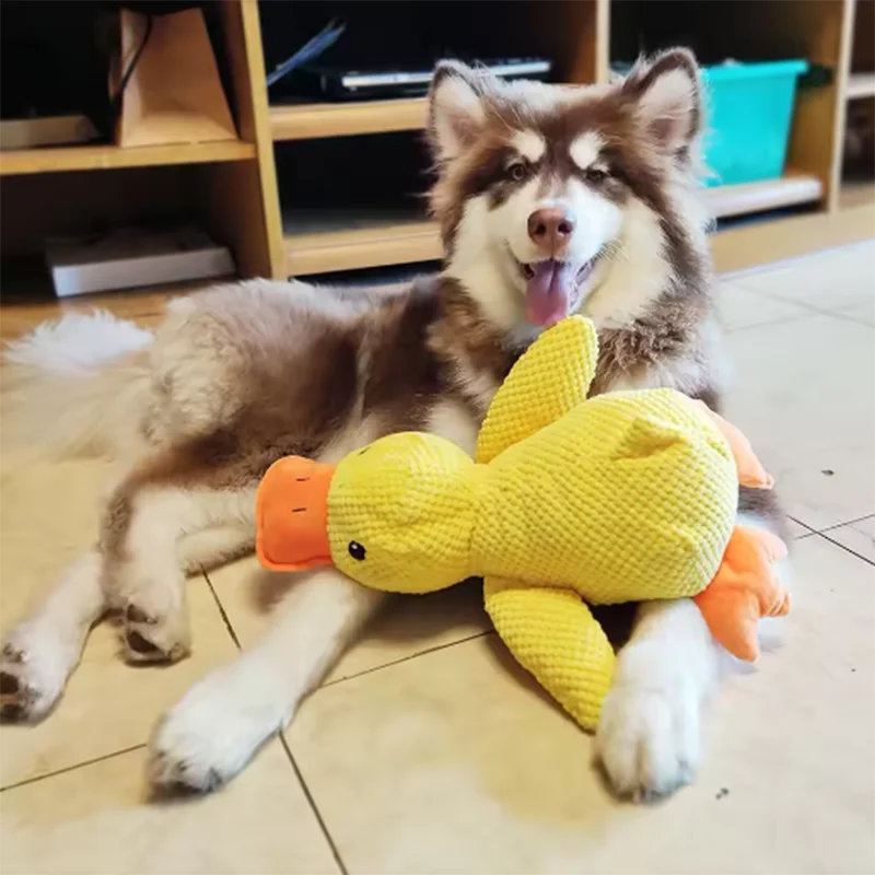 Yellow Duck Boredom-Relief Dog Toy