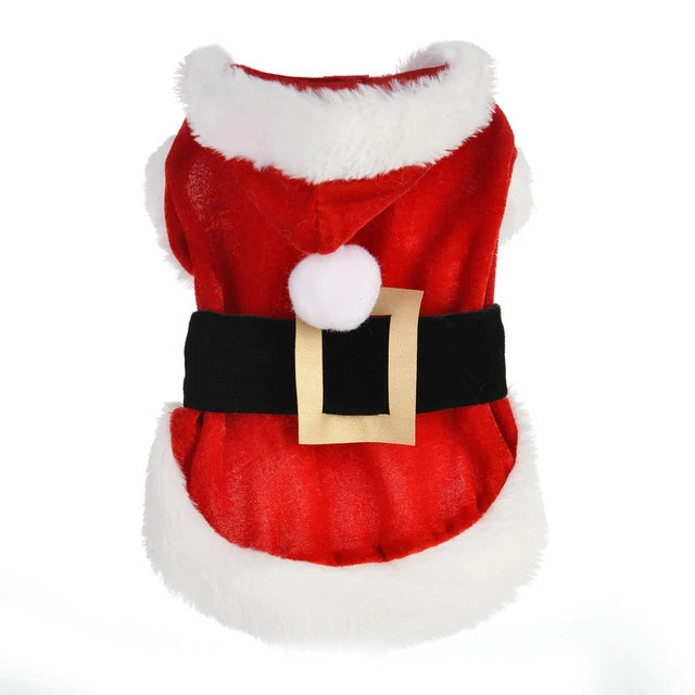 Santa Inspired Pet Costume