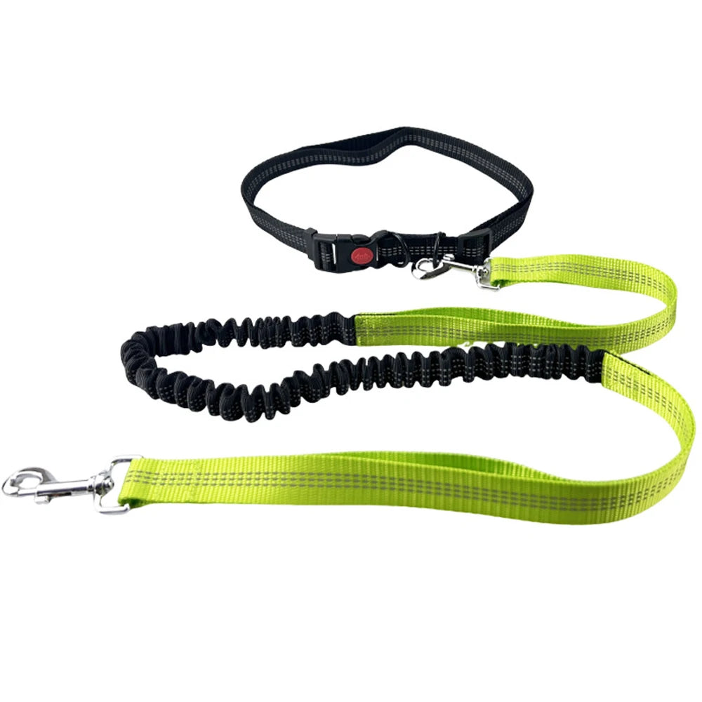 Hands-Free Reflective Dog Leash