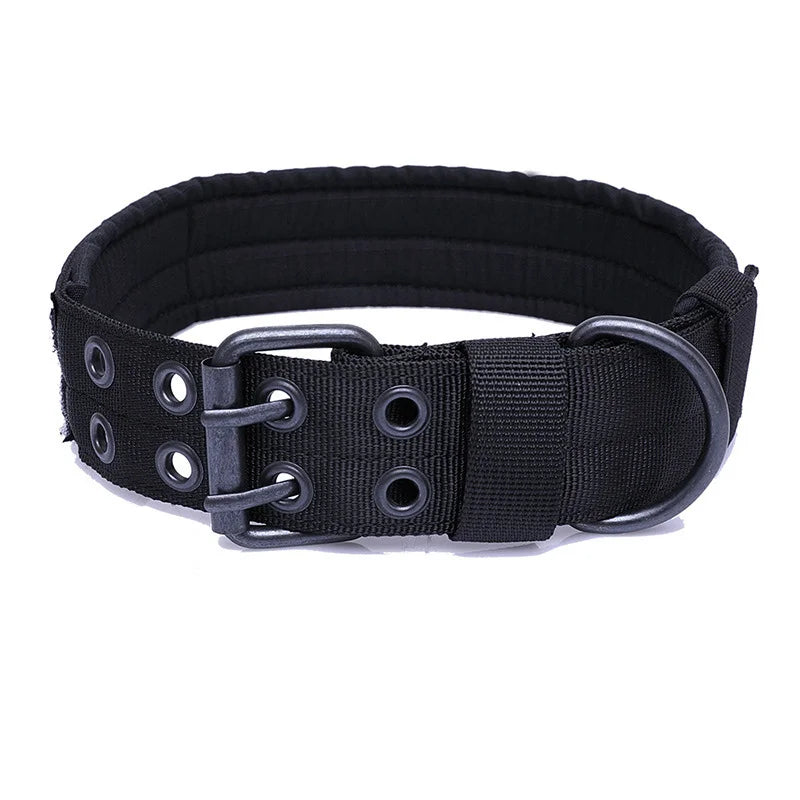 Classic Dog Collar for Tactical Training