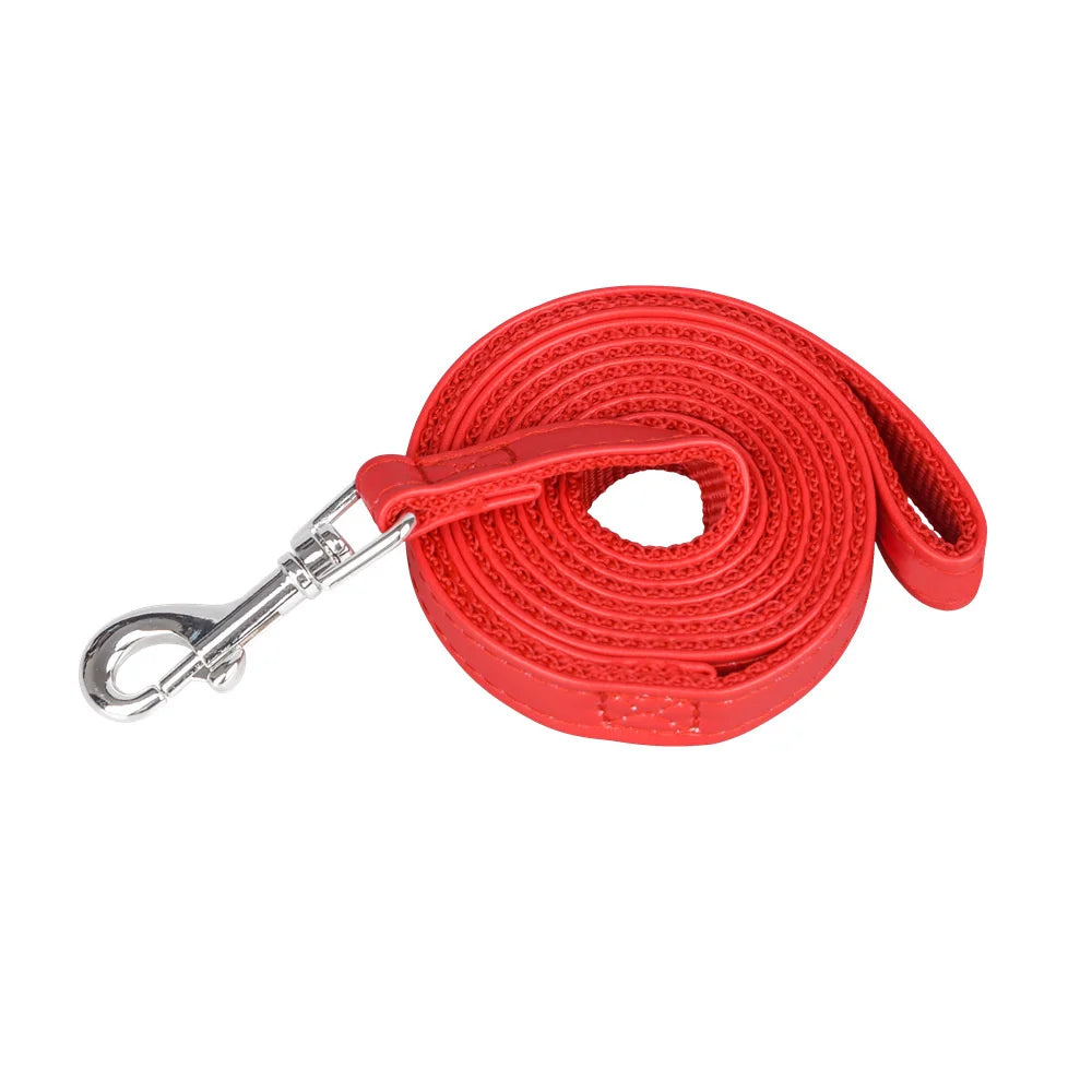 Premium Dog Training Leash